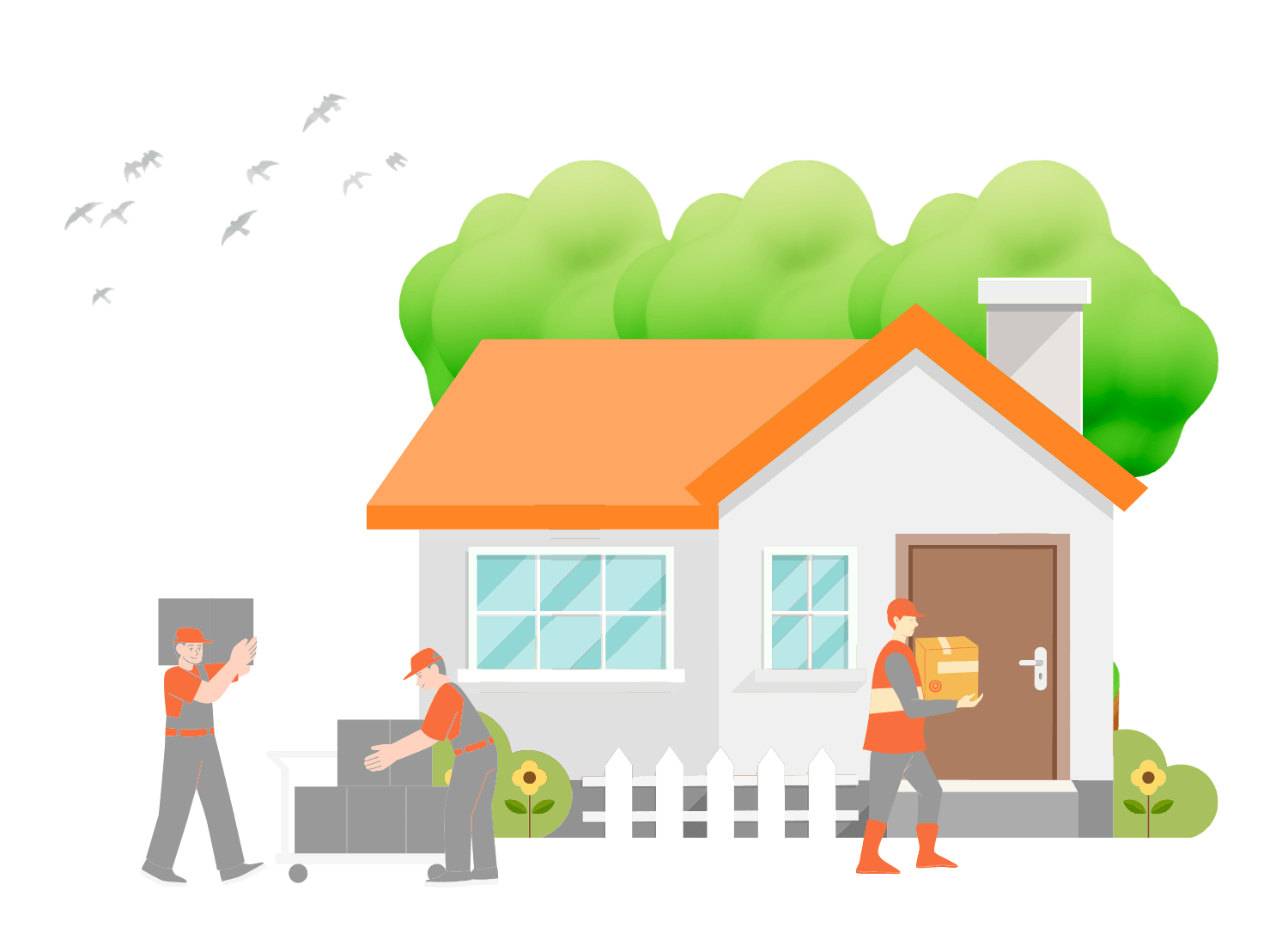 Appliance Removal